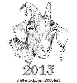 Goat, the symbol of 2015. Hand drawn illustration in sketch style.
