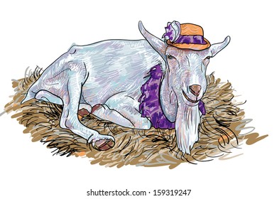 The goat that wear hat  lay down on haystack