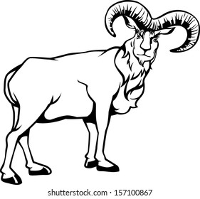 Goat vector the big horn.