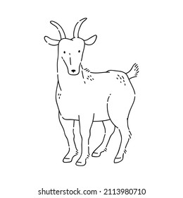 Ganado de doodle vectorial de cabra del calendario astrológico oriental contorno negro sobre fondo blanco.