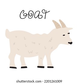 Goat. Vector hand drawn illustration. 