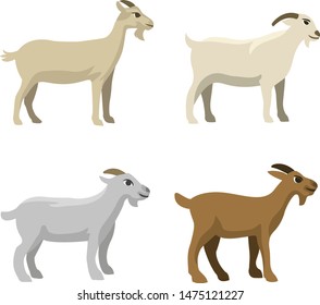 Goat Vector Illustration for Eid al-Adha