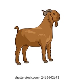 goat vector illustration. Eid al-Adha Sacrifice celebration festival