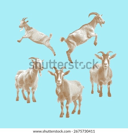 Goat, goat vector, goat illustration, line drawing on light blue background.