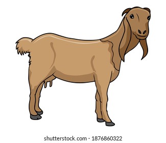 goat vector illustration,isolated on white background,animals top view