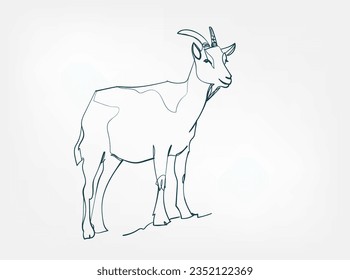 goat vector line art animal wild life single one line hand drawn illustration isolated