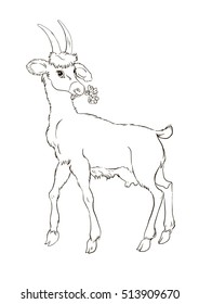 Goat. Vector outline for children's coloring