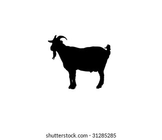 goat - Vector - Silhouette