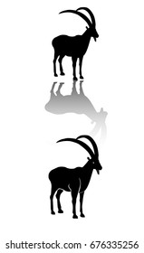 goat vector silhouette, can use for element design, logo, or another purpose.