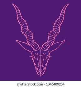 Goat, vector sketch. Purple background.