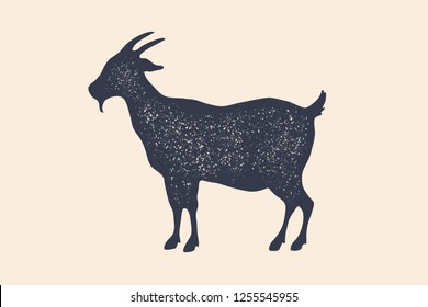 Goat. Vintage logo, retro print, poster for Butchery meat shop, goat silhouette. Logo template for meat business, meat shop. Isolated black silhouette goat on white background. Vector Illustration