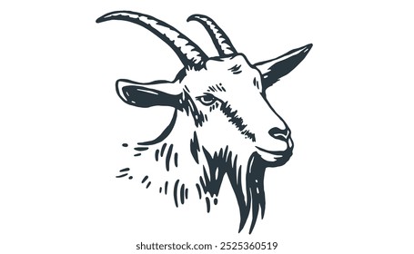 Goat. Vintage retro print, black white goat drawing, sketch ink pencil draw, engrave old school style. Sketch artwork silhouette goat with horns. Side view profile goat. Vector Illustration