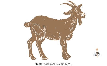 Goat. Vintage retro print, black white goat drawing, sketch ink pencil draw, engrave old school style. Sketch artwork silhouette goat with horns. Side view profile goat. Vector Illustration