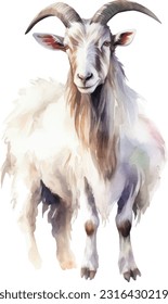 Goat watercolor illustration. Hand drawn underwater element design. Artistic vector marine design element. Illustration for greeting cards, printing and other design projects.