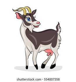 goat at the white background