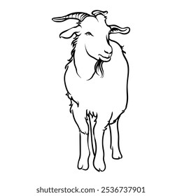 goat with white background separate