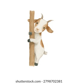 Goat with white and brown fur