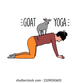 Goat yoga exercise illustration. New fitness style concept on isolated background.