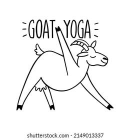 Goat yoga exercise trend illustration of farm animal. New fitness style concept isolated on white background.