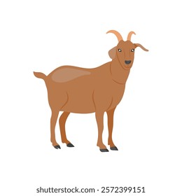 Goat Zodiac, China Symbols Vector Illustration