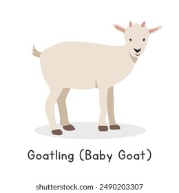 Goatling (baby goat) vector illustration. Cute goat cartoon clipart, animal in flat style. Farm animals concept, rural farming. Livestock animal baby goat vector design isolated on white background