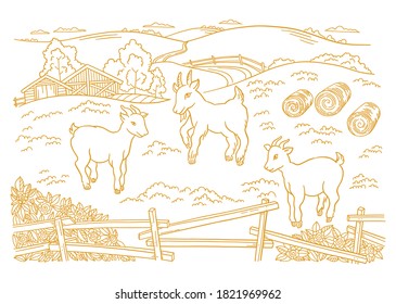 Goatling, yeanling farm is livestock. Three lambs in the barnyard. Hay fodder. Village rural countryside landscape. Rustic fence. Hand drawn cartoon sketch. Contour vector line.