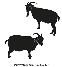 Goats