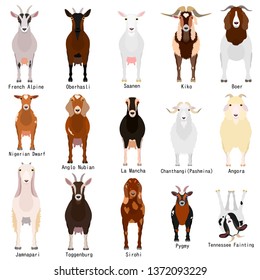 goats chart with breeds name