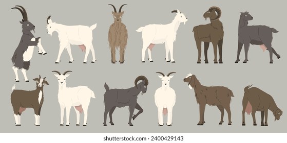 Goats collection. Cartoon black nanny goats, cartoon alpine herd of dairy animal with wool and horns. Vector isolated mascot of goat anima or , mammal illustration