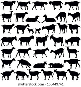 Goats collection - vector silhouette 