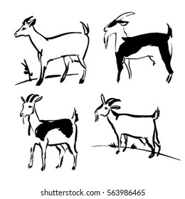 goats drawn with ink