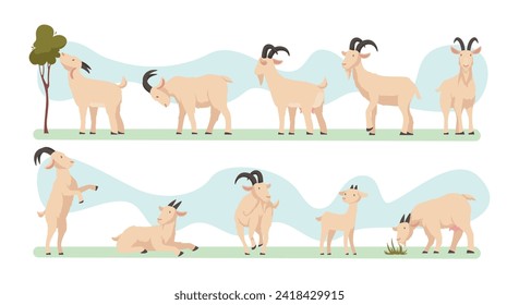 Goats. Farm animals with wool and horns exact vector illustrations of cute goats collection