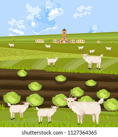 Goats at the farm Vector. green summer backgrounds