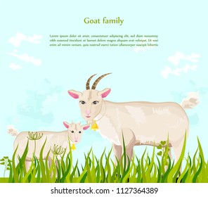 Goats at the farm Vector. green summer backgrounds