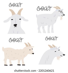 Goats. Flat icons. Farm animals. Vector illustrations on white background.