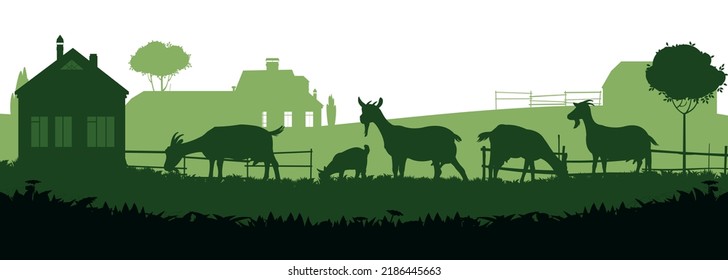 Goats grazing on pasture. Picture silhouette. Farm pets. Rural landscape with farmer house. Animals for milk and dairy products. Isolated on white background. Vector.