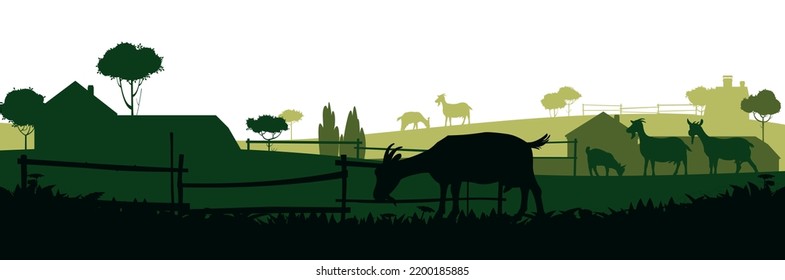 Goats grazing on pasture. Picture silhouette. Farm pets. Rural landscape with farmer house. Animals for milk and dairy products. Isolated on white background. Vector.