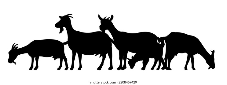 Goats grazing on pasture. Picture silhouette. Farm pets. Animals for milk and dairy products. Isolated on white background. Vector.
