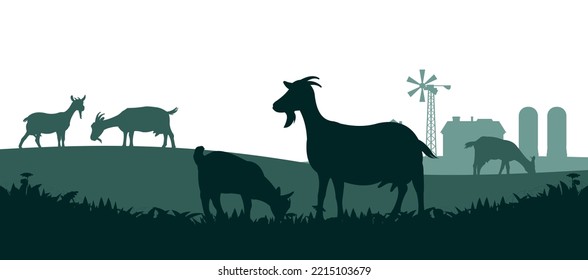 Goats grazing. Picture silhouette. Farm pets. Animals for milk and dairy products. Isolated on white background. Vector.