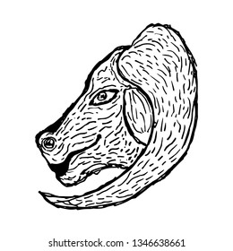 goat's head - sheep's head like cow - vector