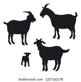Goats isolated on white, hand drawn vector illustration.