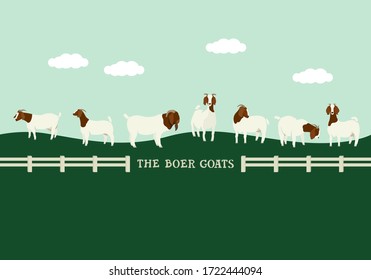 Goats in the meadow Flat vector illustration Countryside and farmland, cattle breeding and stock raising Decorative banner set