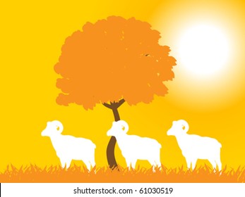 goats on field