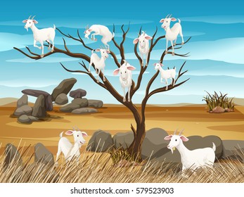 Goats in a scene