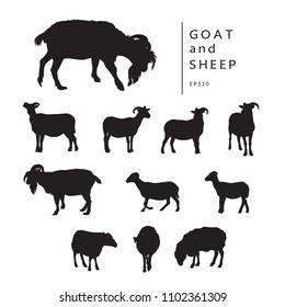 Goats and sheep - black silhouettes isolated on white background.
Set of vector illustrations of horned farm animal. 