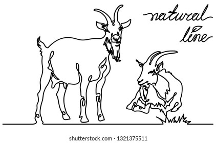 Goats vector flat illustration on white background. Continuous line, creative design suitable for packaging