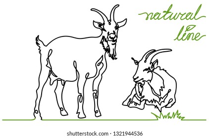Goats vector flat illustration on white background. Continuous line, creative design suitable for packaging