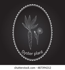 Goatsbeard (Tragopogon dubius), or yellow salsify, western goat's-beard, wild oysterplant - edible plant. Hand drawn botanical vector illustration