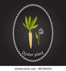 Goatsbeard (Tragopogon dubius), or yellow salsify, western goat's-beard, wild oysterplant - edible plant. Hand drawn botanical vector illustration