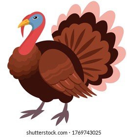 Gobbler side view. Farm animal in cartoon style.